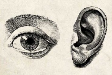 The Pleasures of the Eye and Ear Compared